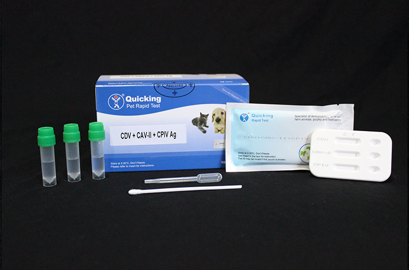 CDV+CAV-II+CPIV Ag Triple Rapid Test ( W81014 ) 