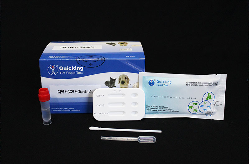 CPV+CCV+Giardia Ag Triple Rapid Test（W81018）