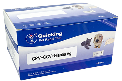 Canine CCV CPV Gia Triple Test for Veterinary Diagnosis