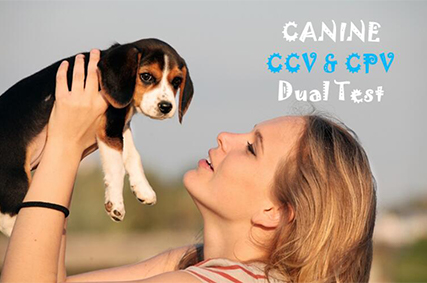 Canine CCV CPV Ag Combined Rapid Test Kit for Veterinary Diagnosis