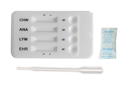 Ehrlichia Lyme Anaplasma Heartworm Combo Rapid Diagnostic Test 4 in 1