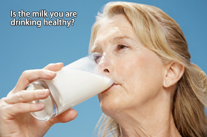 Beta Lactam Test for Milk
