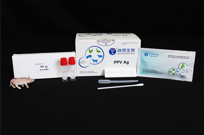 PPV Ag Rapid Test（W81055）