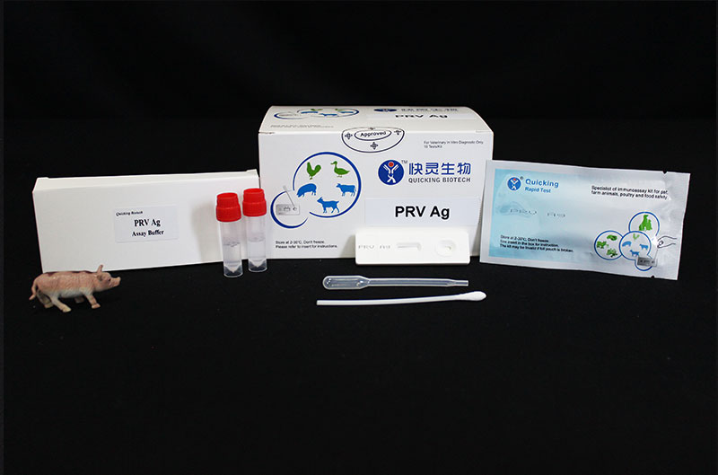 PRV Ag Rapid Test ( W81056 )