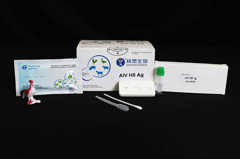 AIV H5 Ag Rapid Test (W81089)