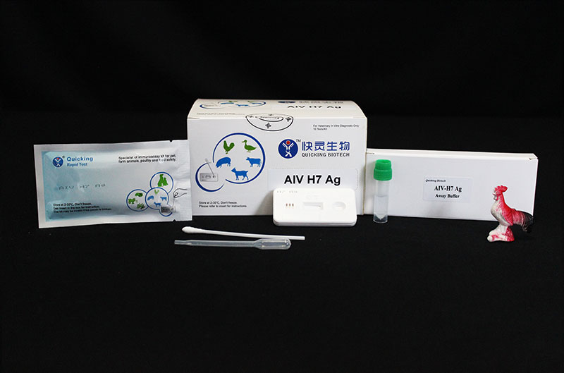 AIV H7 Ag Rapid Test (W81148)