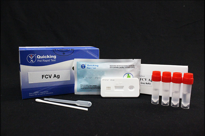 FCV Ag Rapid Test ( W81201 )