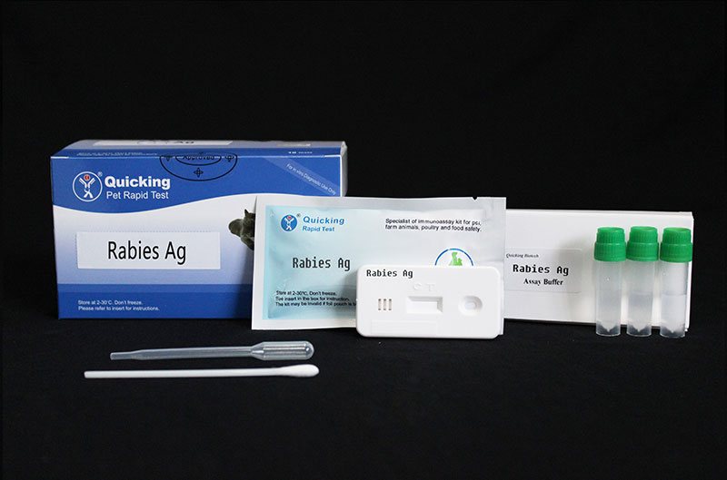 Rabies Virus Ag Rapid Test   (W81013)