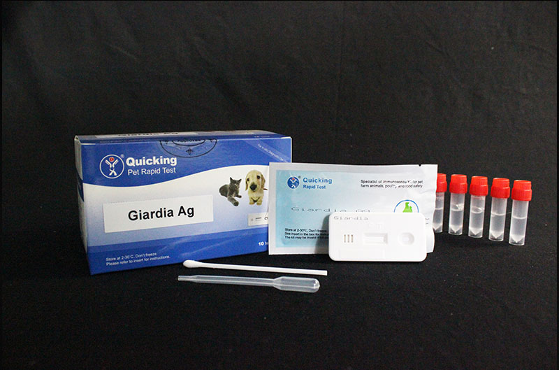 giardia ag test