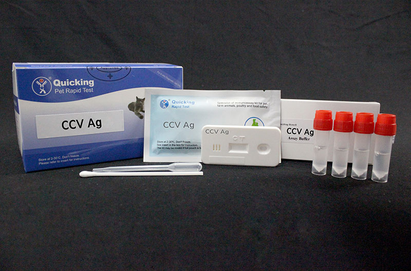 CCV Ag Rapid Test（W81007）