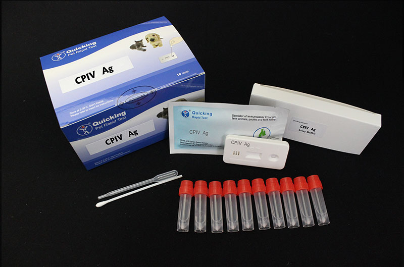 CPIV Ag Rapid Test（W81009） 