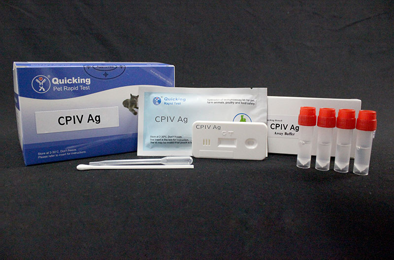CPIV Ag Rapid Test（W81009） 