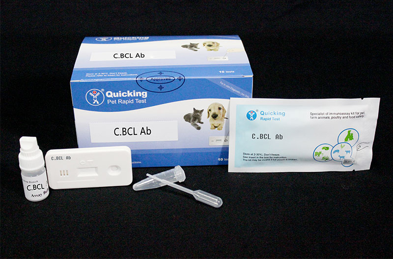 C.Brucella Ab Rapid Test（W81010 )