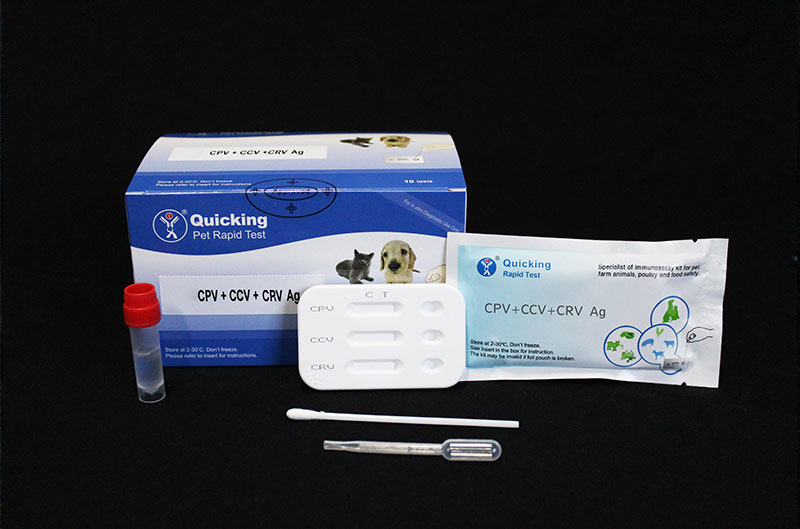 CPV+CCV+CRV Ag Triple Rapid Test（W81012） 