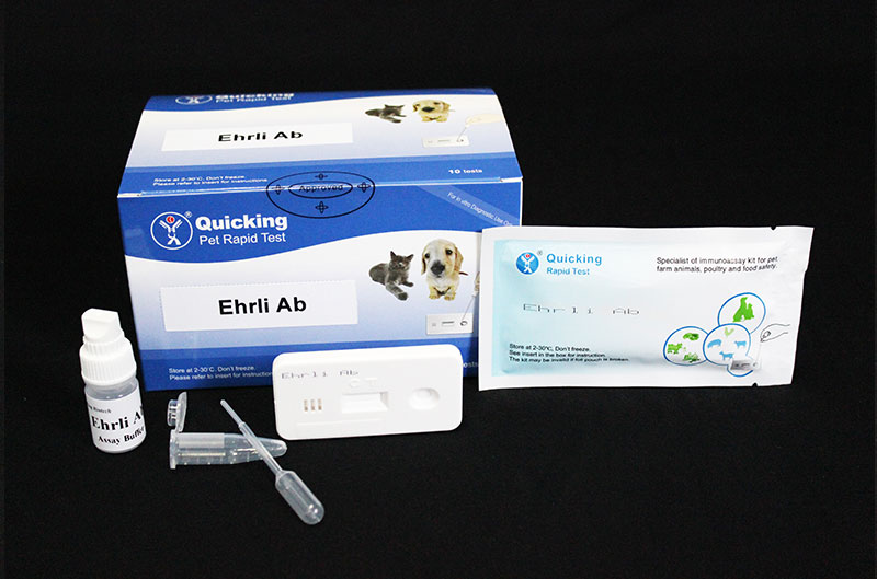 E.canis Ab Rapid Test（W81132）