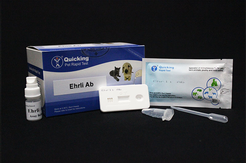 E.canis Ab Rapid Test（W81132）