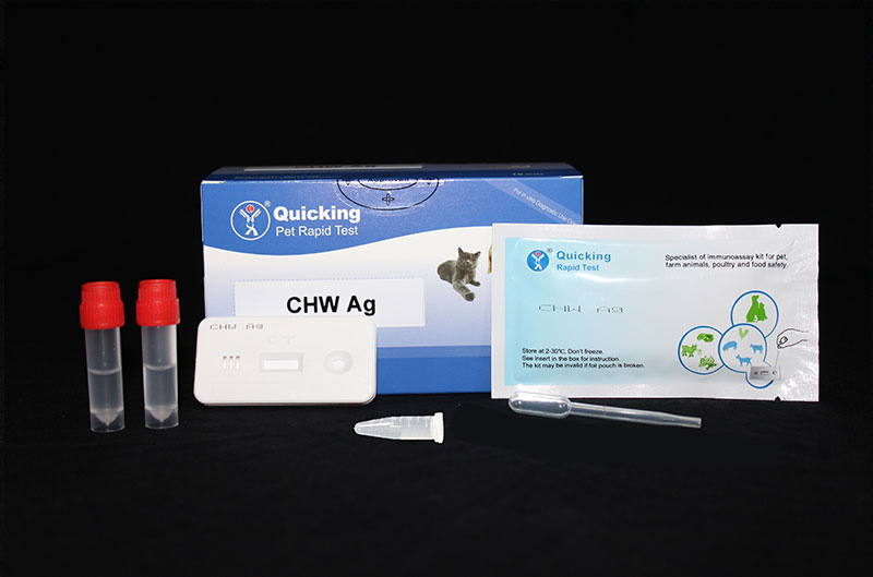 Giardia ag test, Giardia-fertőzés (giardiasis)
