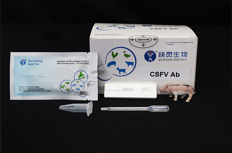 CSFV Ab Rapid Test ( W81023 )