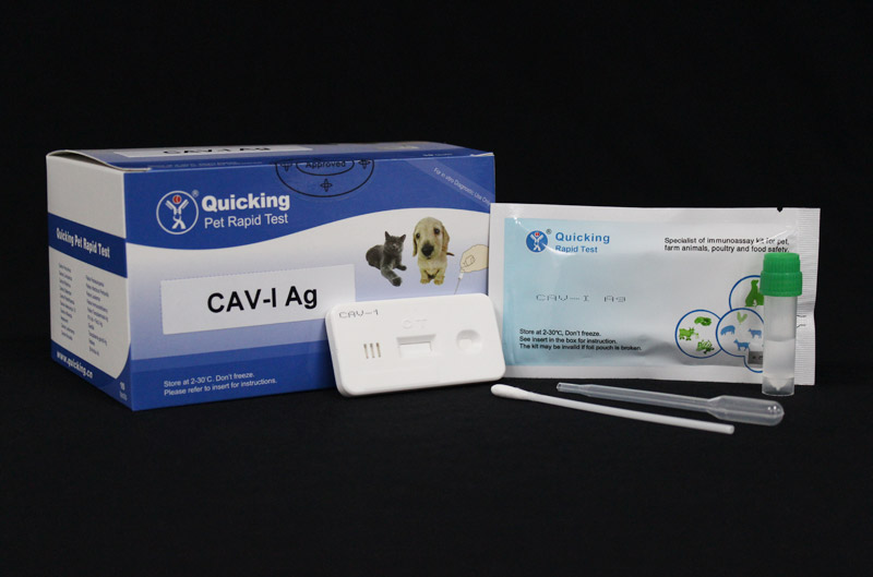 CAV-I Ag Rapid Test（W81077）