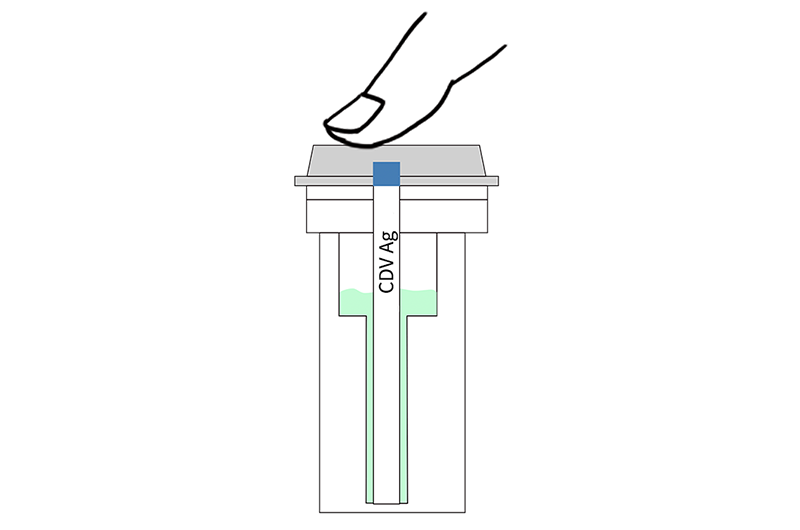 CDV Ag Sealing Tube Rapid Test Strip (S21001-1)