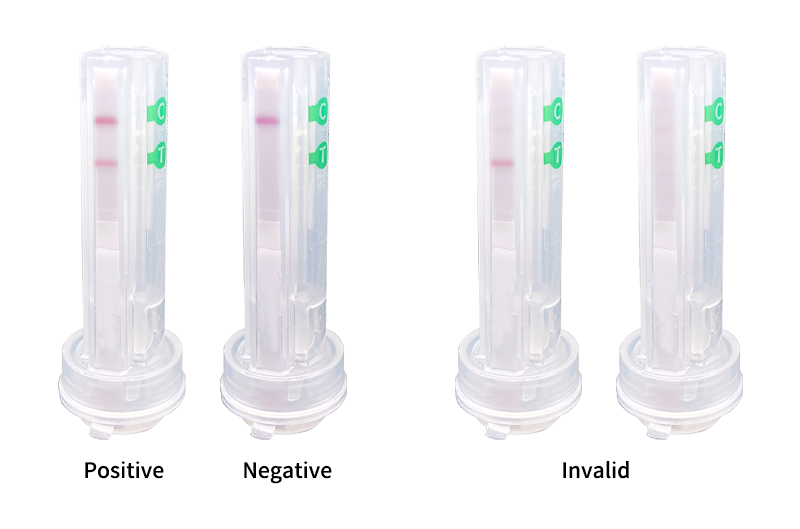 Canine Giardia Ag Sealing Tube Rapid Test Strip (W21004)