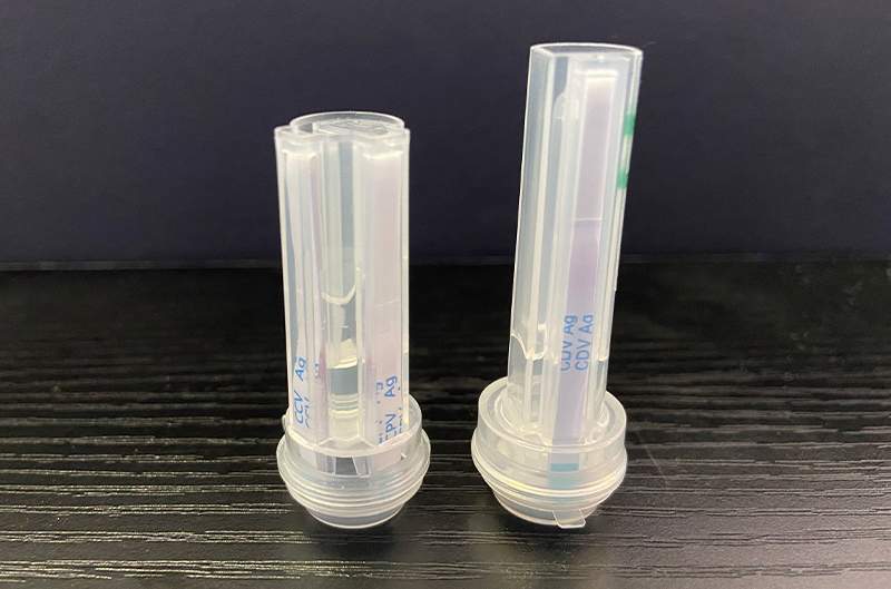 CDV+CPV Ag Dual Combined Sealing Tube Rapid Test Strip (S21003)