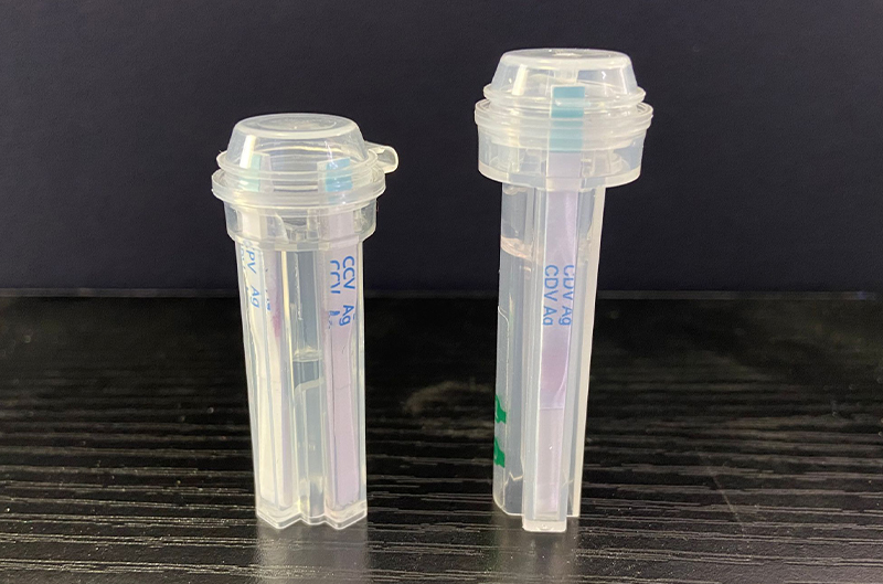 CCV+CPV Ag Dual Combined Sealing Tube Rapid Test Strip (S21005)