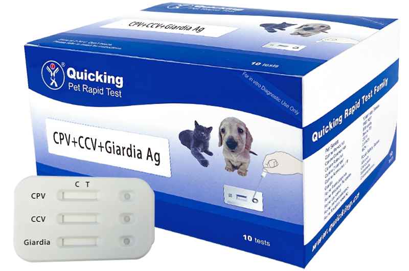 CPV+CCV+Giardia Ag Triple Rapid Test（W81018）