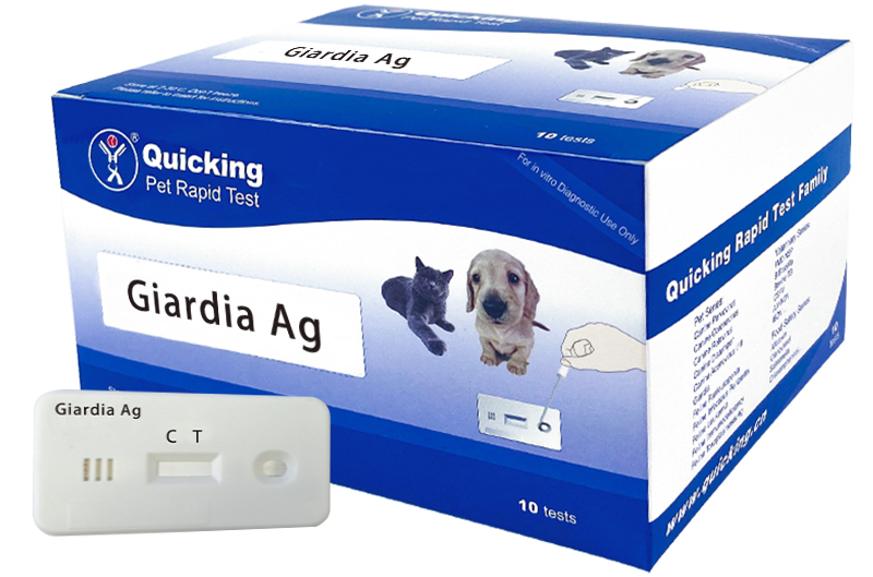 Giardia Ag Rapid Test (W81020)