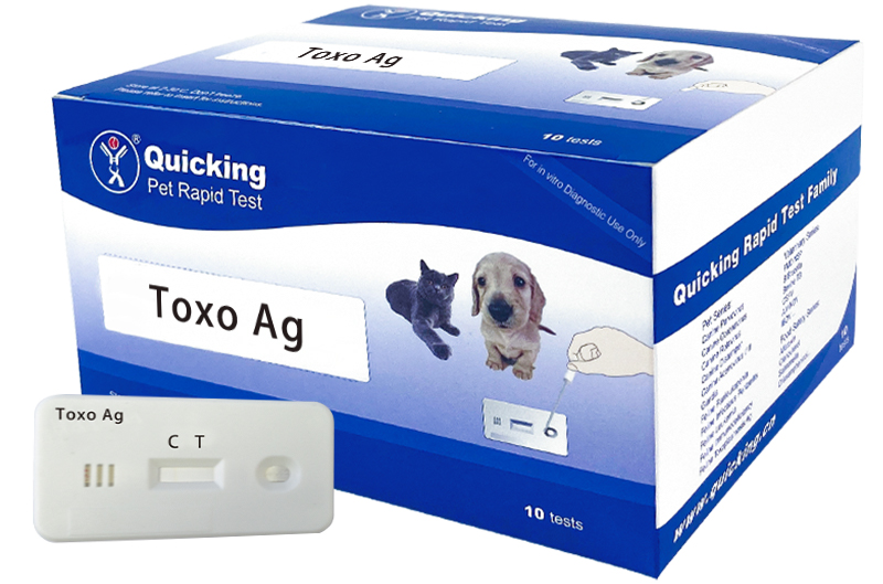 Toxo Ag Rapid Test ( W81021 )