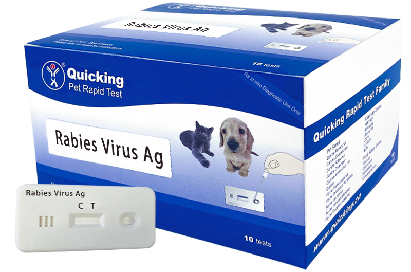 Rabies Virus Ag Rapid Test   (W81013)