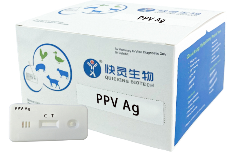 PPV Ag Rapid Test（W81055）