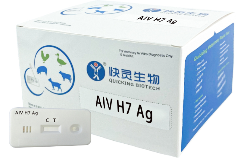 AIV H7 Ag Rapid Test (W81148)