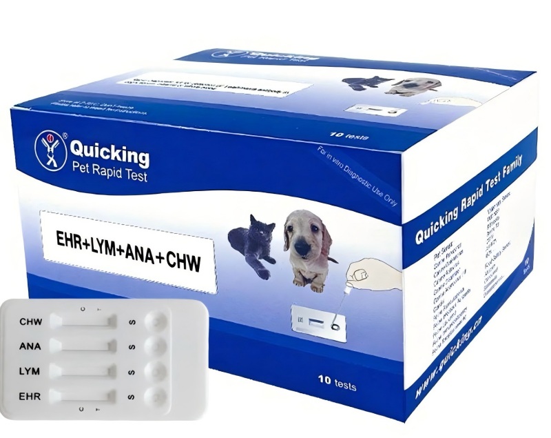 EHR + LYM + ANA Ab + CHW Ag Rapid Test（W81166）