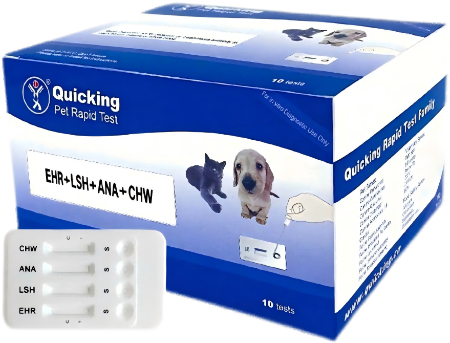 EHR + LSH + ANA Ab + CHW Ag Rapid Test（W81167）