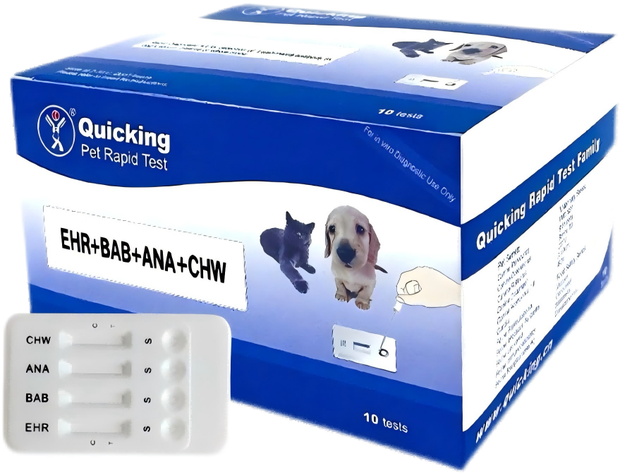 EHR + BAB + ANA Ab + CHW Ag Rapid Test（W81146）